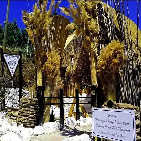 Caliente Кемпинг